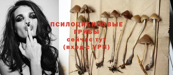 стафф Армянск